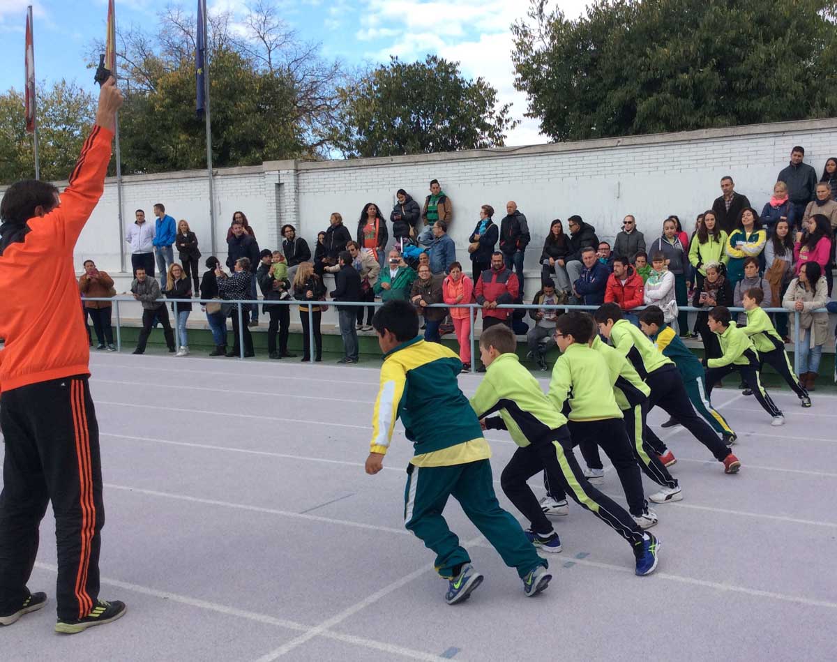 Medio Millar De Niños Participan En Las Olimpiadas Del Colegio Safa